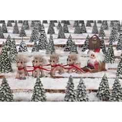 Julemand med 4 rensdyr